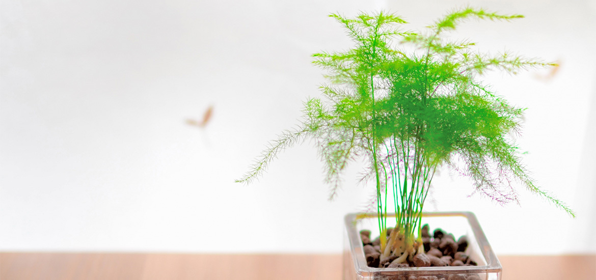 国分寺市光町、国立駅近く、内科・小児科