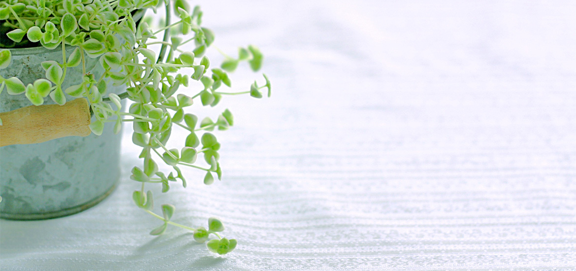 国分寺市光町、国立駅近く、内科・小児科